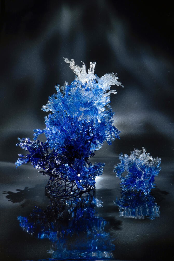 Caerulea - 01